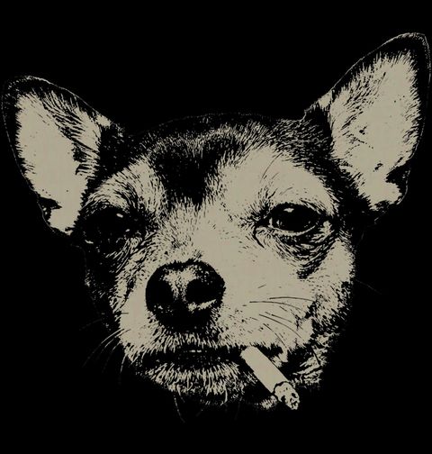 Obrázek produktu Pánské tričko Čivava s Cigaretou