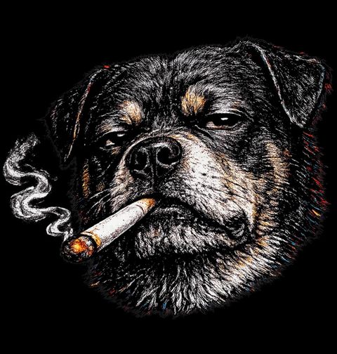 Obrázek produktu Pánské tričko Bruselský Grifonek s Cigaretou