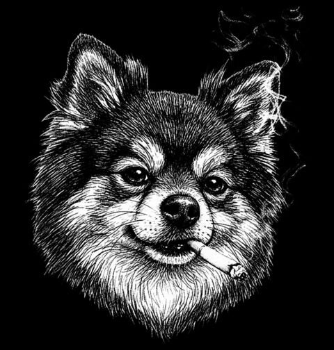 Obrázek produktu Dámské tričko Pomeranian s Cigaretou