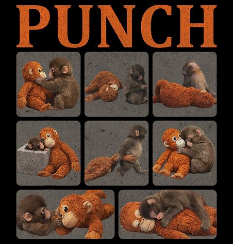 Obrázek produktu Dětské tričko Punch a jeho Plyšový Kamarád