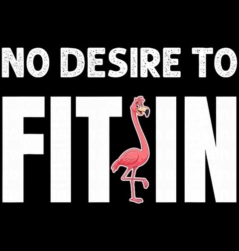 Obrázek produktu Pánské tričko Není třeba Zapadnout No Desire to Fit in