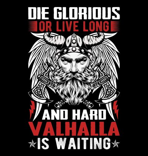 Obrázek produktu Pánské tričko Viking Sláva nebo Valhalla