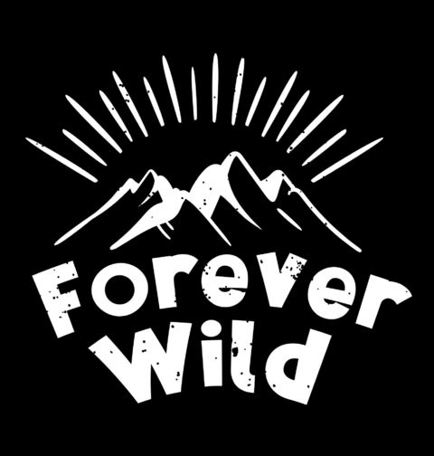 Obrázek produktu Dětské tričko Navždy Divoký Forever Wild