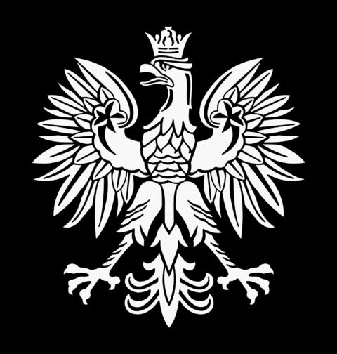 Obrázek produktu Pánské tričko Polská Orlice