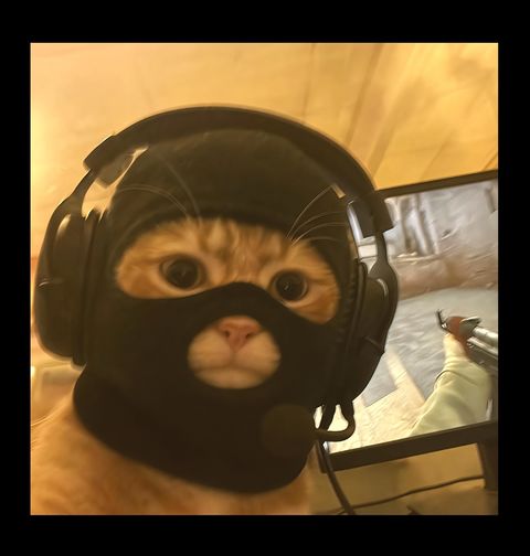 Obrázek produktu Pánská mikina Selfie Kočka Gamer CS 2