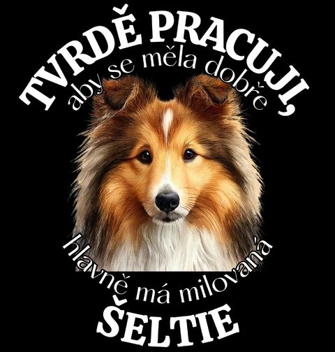 Obrázek produktu Dámské tričko Tvrdě pracuji, aby se měla dobře má Šeltie