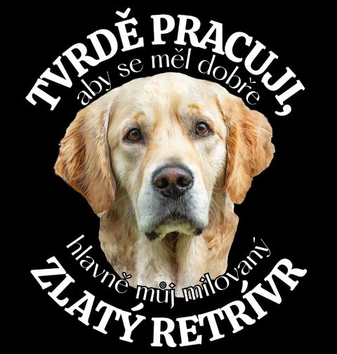 Obrázek produktu Dámské tričko Tvrdě pracuji, aby se měl dobře můj Zlatý retrívr