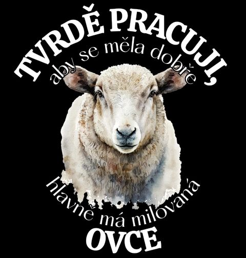 Obrázek produktu Pánská mikina Tvrdě pracuji, aby se měla dobře má Ovce