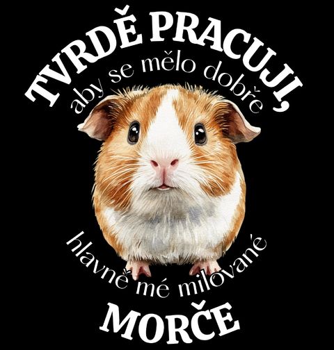 Obrázek produktu Dámské tričko Tvrdě pracuji, aby se mělo dobře mé Morče