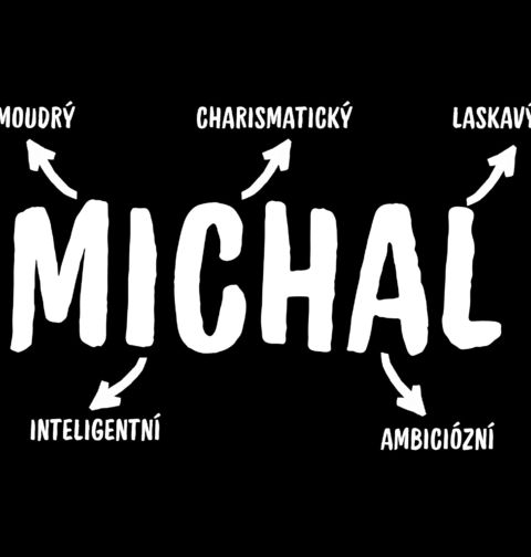 Obrázek produktu Dětské tričko Popis Jména Michal
