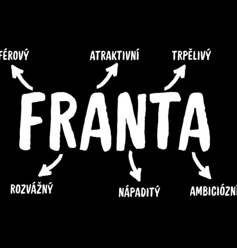 Obrázek produktu Dětské tričko Popis Jména Franta