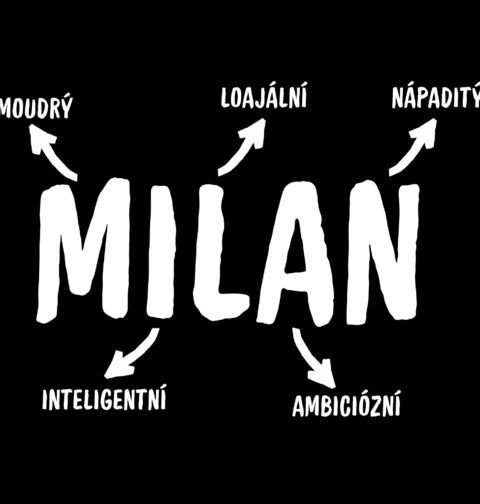 Obrázek produktu Dětské tričko Popis Jména Milan