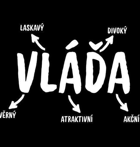 Obrázek produktu Pánská mikina Popis Jména Vláďa