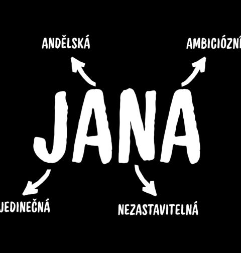Obrázek produktu Dámské tričko Popis Jména Jana