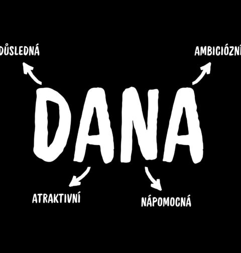 Obrázek produktu Dětské tričko Popis Jména Dana