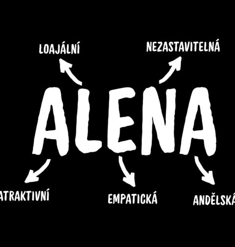 Obrázek produktu Dětské tričko Popis Jména Alena