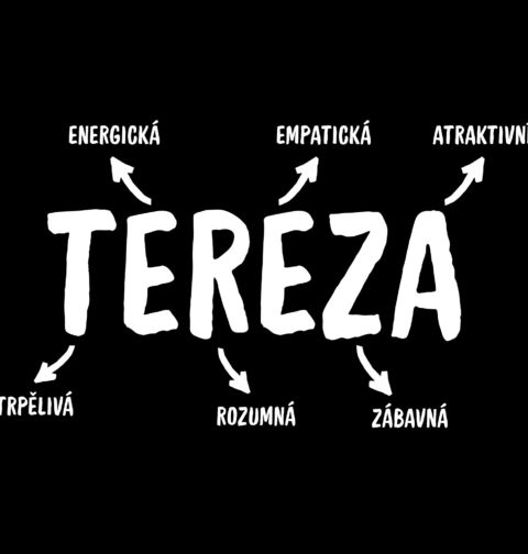 Obrázek produktu Dámské tričko Popis Jména Tereza