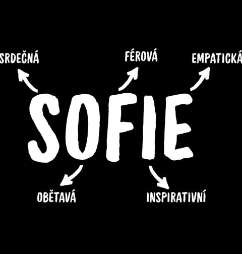 Obrázek produktu Dámské tričko Popis Jména Sofie