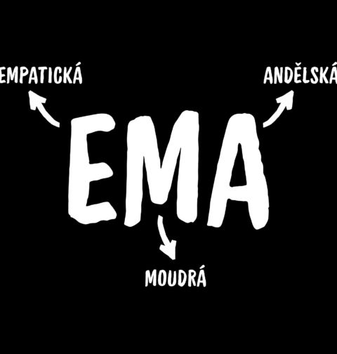 Obrázek produktu Dětské tričko Popis Jména Ema