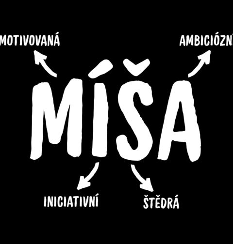 Obrázek produktu Dětské tričko Popis Jména Míša