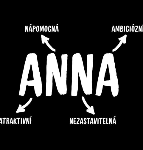 Obrázek produktu Dámské tričko Popis Jména Anna