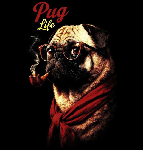 Obrázek produktu Dámské tričko Mops s Dýmkou Pug Life