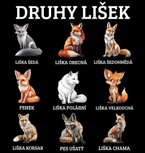 Obrázek produktu Dětské tričko Druhy Lišek