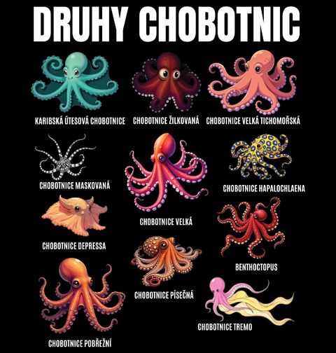 Obrázek produktu Dámské tričko Druhy Chobotnic