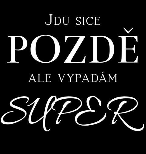 Obrázek produktu Dámské tričko Jdu Sice Pozdě ale Vypadám Super
