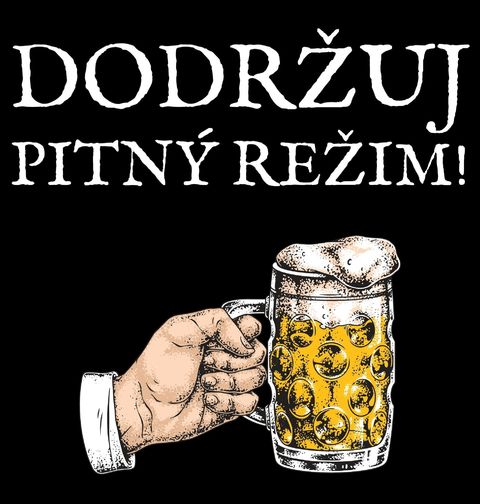 Obrázek produktu Pánské tričko Dodržuju Pitný Režim - Pivem!