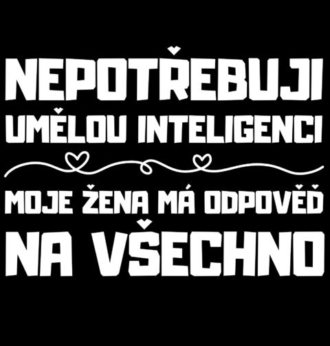 Obrázek produktu Dámské tričko Nepotřebuji AI - Moje Žena Ví Vše