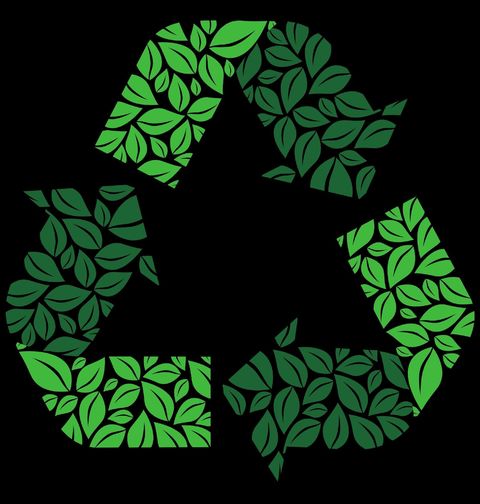 Obrázek produktu Dámské tričko Listová Recyklace