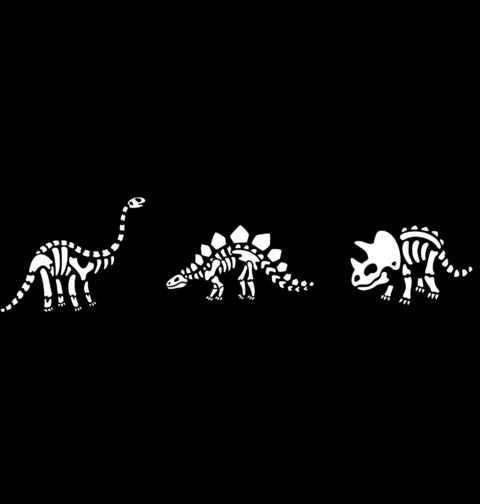 Obrázek produktu Dámské tričko Trojice Kostry Dinosaurů