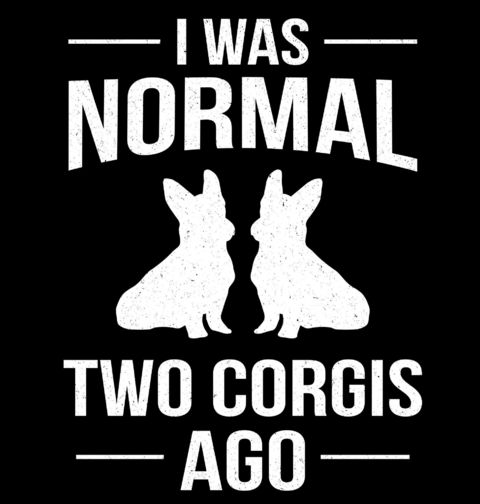 Obrázek produktu Dámské tričko Byl Jsem Normální Před Corgi I Was Normal Two Corgis Ago