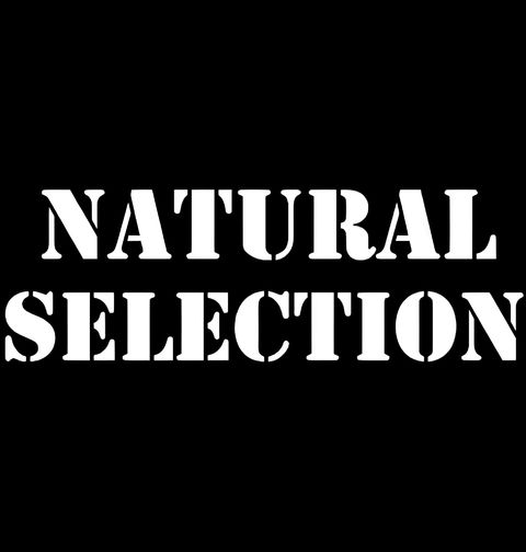 Obrázek produktu Pánské tričko Přirozený Výběr Natural Selection