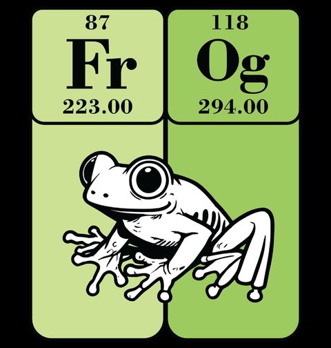 Obrázek produktu Dětské tričko Chemické prvky Žába FrOg