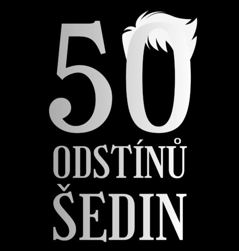 Obrázek produktu Pánské tričko 50 odstínů šedin