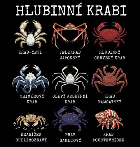 Obrázek produktu Dětské tričko Druhy Hlubinných Krabů