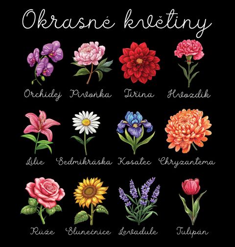 Obrázek produktu Dámské tričko Druhy Okrasných Květin