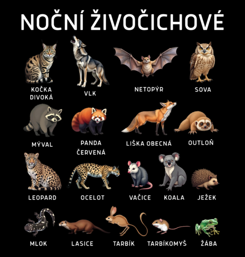 Obrázek produktu Pánské tričko Druhy Nočních Živočichů