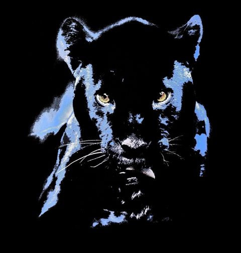 Obrázek produktu Pánské tričko Puma