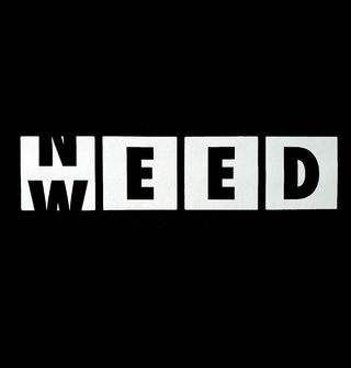 Obrázek 2 produktu Pánské tričko Need Weed.