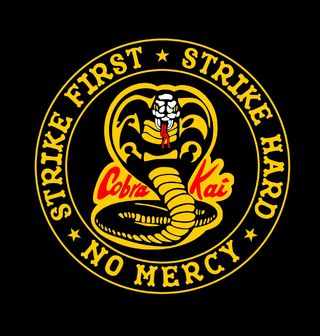 Obrázek 2 produktu Pánské tričko Cobra Kai Strike first (Velikost: XXL)