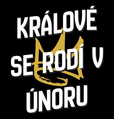 Obrázek produktu Dětské tričko Králové s Korunou se Rodí v Únoru