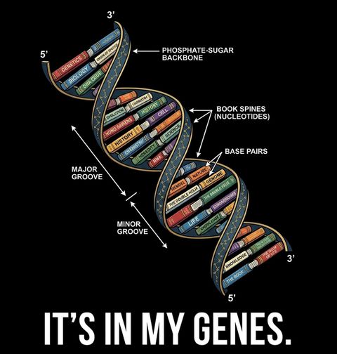 Obrázek produktu Pánská mikina Je To v Mých Genech It's in My Genes