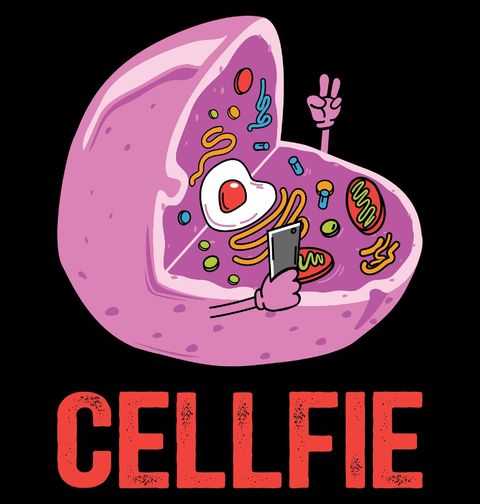 Obrázek produktu Pánské tričko Buňka se Fotí Cellfie