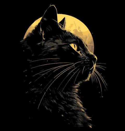 Obrázek produktu Pánské tričko Černá Kočka v Měsíčním Svitu