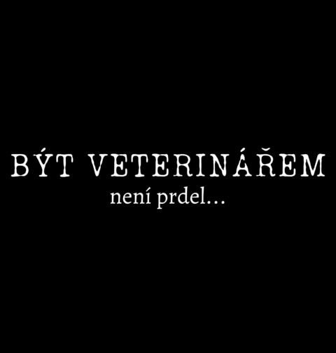 Obrázek produktu Dámské tričko Být veterinářem není prdel