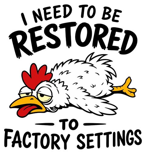 Obrázek produktu Dětské tričko Slepice Potřebuje Restart