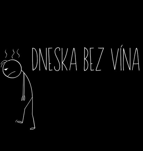 Obrázek produktu Dámské tričko Dneska bez Vína Stickman